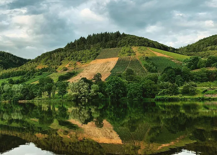 Moselglueck